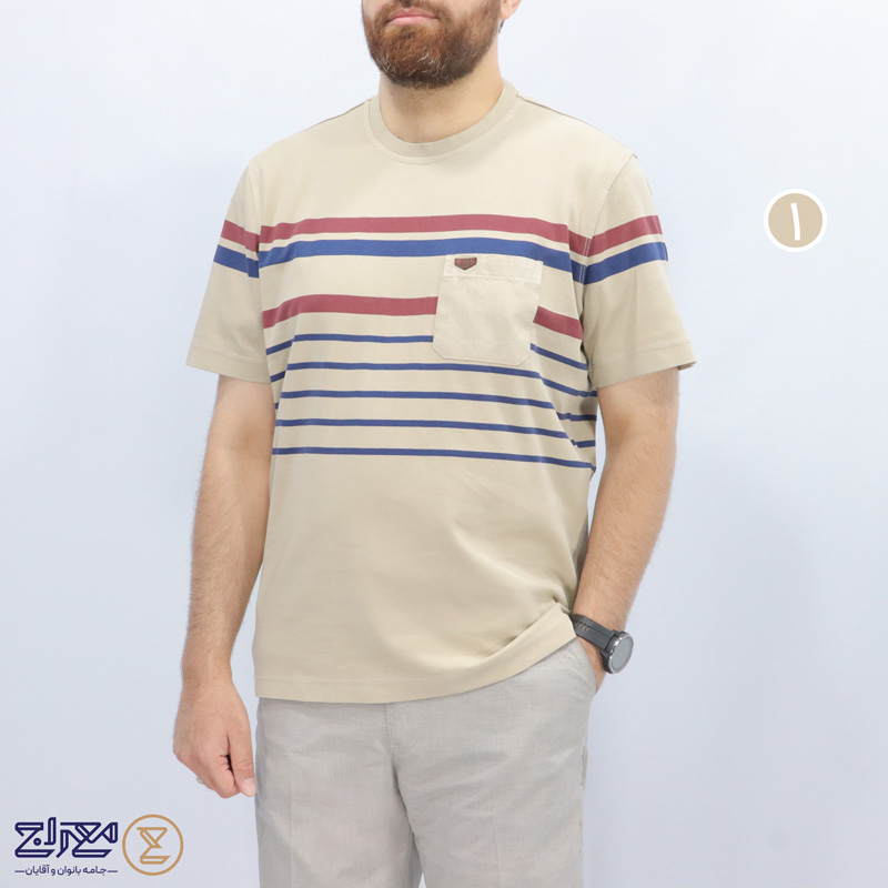 تیشرت مردانه پنبه ای آنزیم شور یقه گرد
