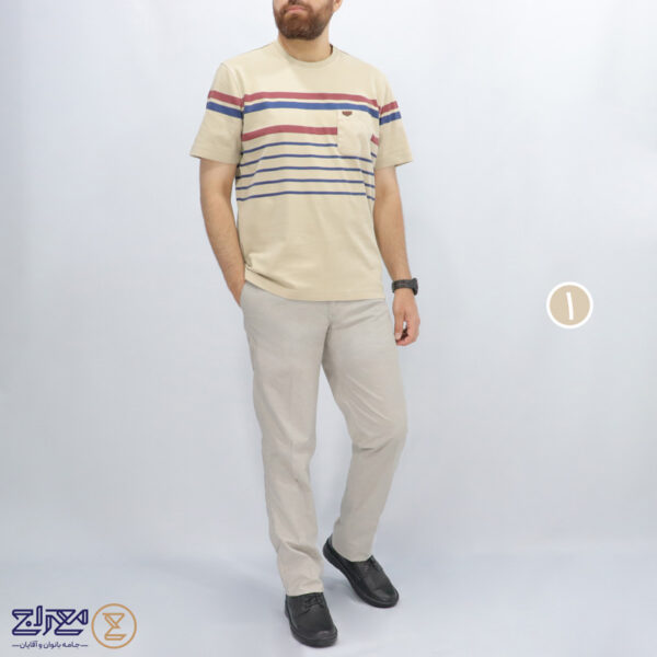 تیشرت مردانه پنبه ای آنزیم شور یقه گرد